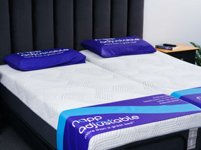 iActive Lumbar Rich Adjustable SPLIT King Bed Mattress Included | by MLILY