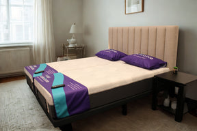 iActive Lumbar Rich Adjustable SPLIT King Bed Mattress Included | by MLILY